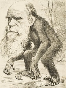Darwin 자신이 주장하는 C. Darwin( ? ~ ?)